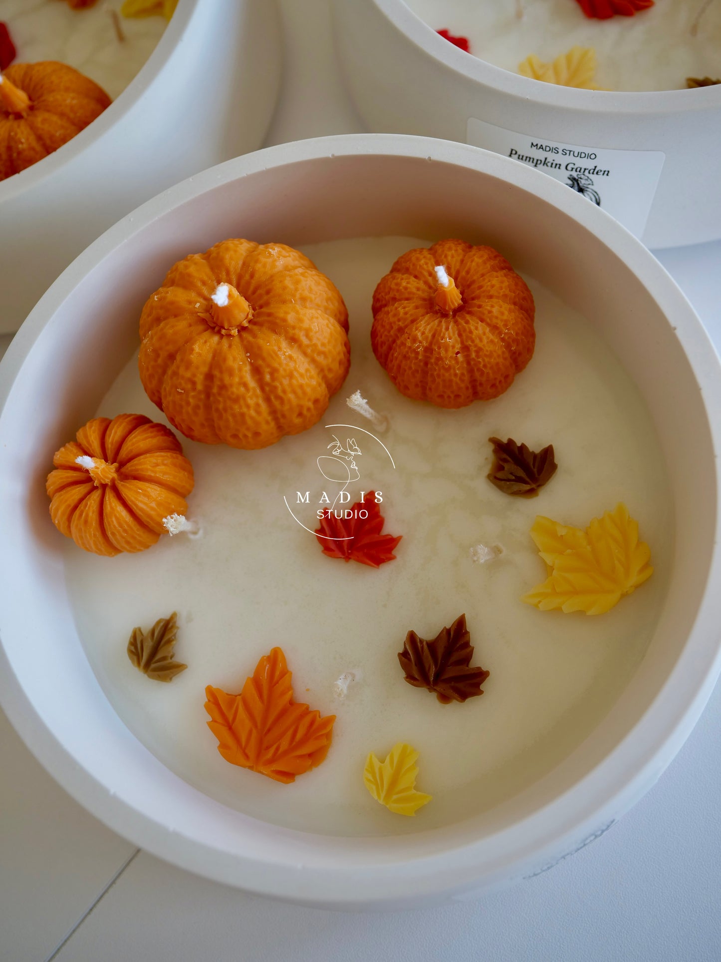 Pumpkin Garden