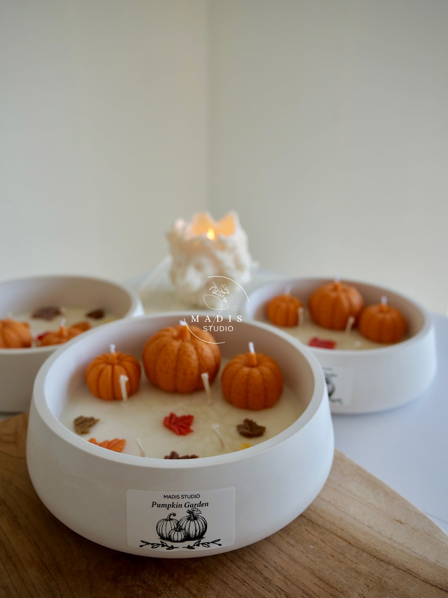Pumpkin Garden